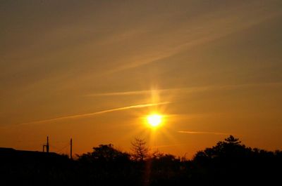 Silhouette trees against sky during sunset