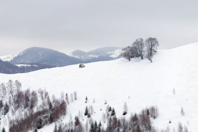 Trees on snow covered landscape against sky