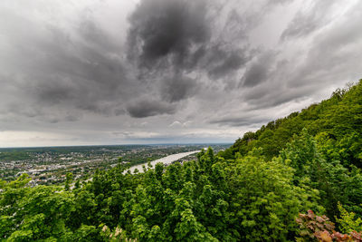 Scenic view of trees against sky