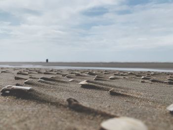 Surface level of sand on beach against sky