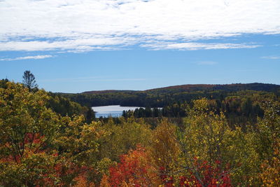 Scenic view of lake against sky during autumn