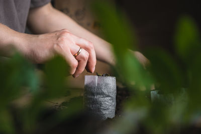 Close-up of person holding leaf