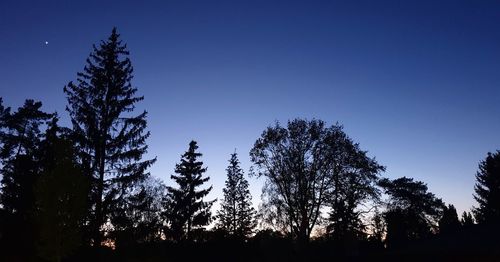 Low angle view of silhouette trees against clear sky