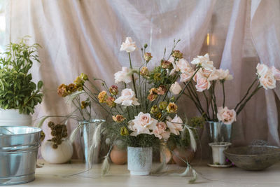 Potted plant on table