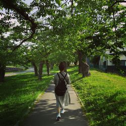 Rear view of woman walking on footpath amidst trees