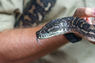 Close-up of person holding hands