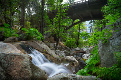 Stream flowing through rocks in forest