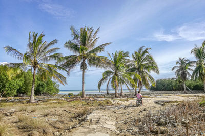 Rear view of man riding motorcycle against palm trees