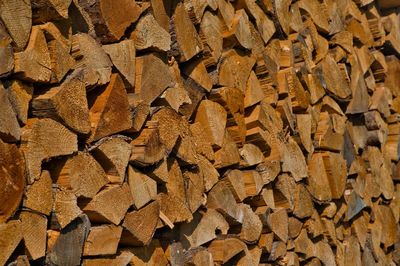 Full frame shot of logs in forest