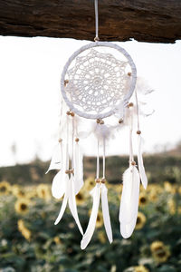 Close-up of white flower hanging on field against sky