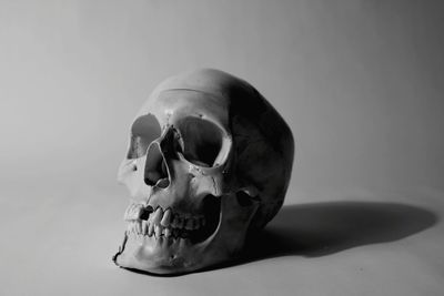 Close-up of human skull against gray background