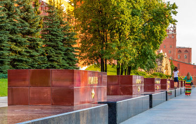 Trees by wall in park