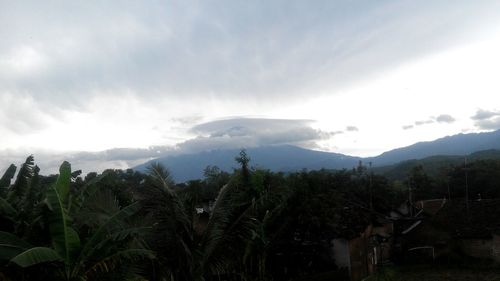 Panoramic view of trees and mountains against sky