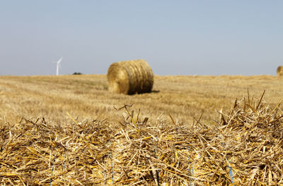 Hay bales on field against clear sky