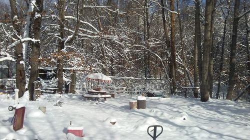 Frozen christmas tree during winter