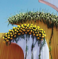 Low angle view of flowers decoration on gate against clear sky