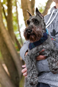 Close-up of a dog