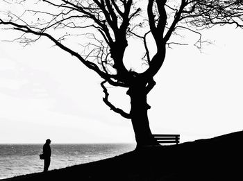 Silhouette of people looking at sea