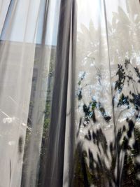 Close-up of curtain against window