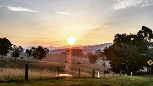 Sunset over grassy field