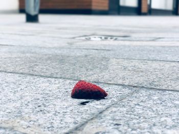 Close-up of strawberry on floor