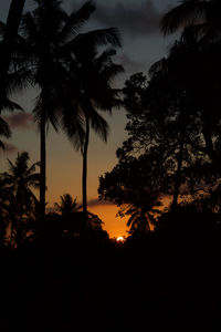 Silhouette palm trees against sky during sunset