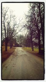 Road passing through bare trees