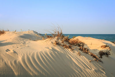 Scenic view of beach against clear sky