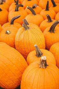 Full frame shot of pumpkins for sale at market