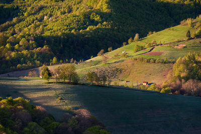 A photo taken at sunrise in holbav, brasov.