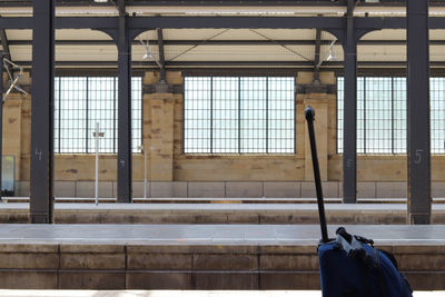 Rear view of man standing against window