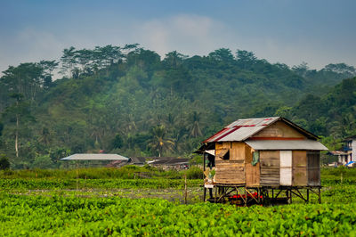 Houses on field against mountain