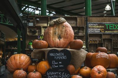 Pumpkins in shelf