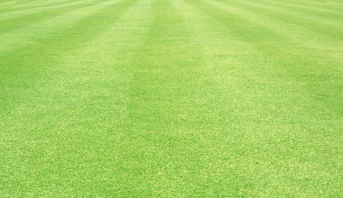 Full frame shot of soccer field