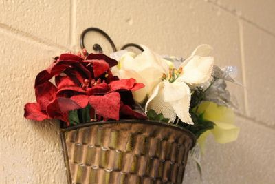 Close-up of christmas flowers