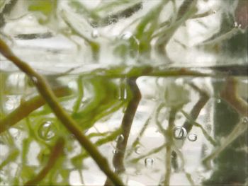 Full frame shot of raindrops on lake