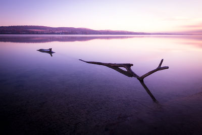 Silhouette of man on lake against sky during sunset