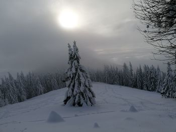 Scenic view of snowcapped field against sky during winter