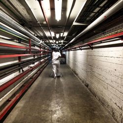 Tunnel in tunnel