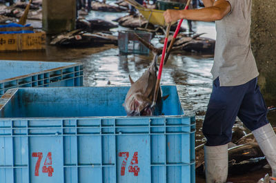 Man holding fish while standing in container