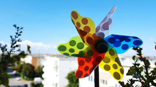Close-up of colorful pinwheel toy