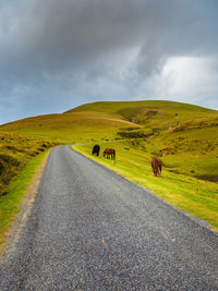 Scenic view of green landscape against sky