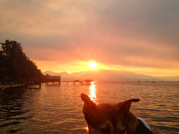 Scenic view of sunset over sea