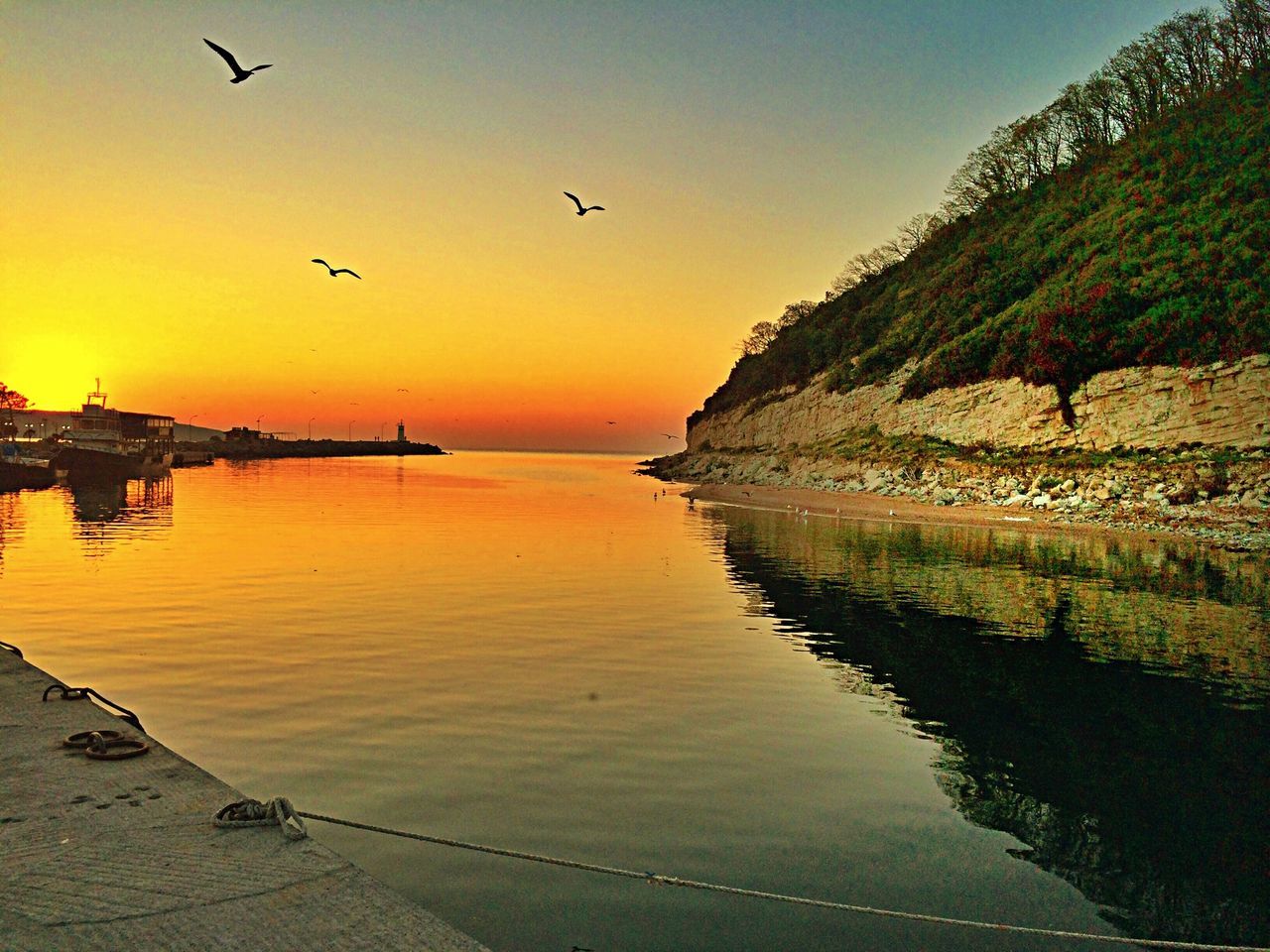 water, sea, sunset, bird, scenics, tranquil scene, tranquility, beauty in nature, horizon over water, sky, nature, flying, idyllic, reflection, orange color, transportation, beach, coastline, nautical vessel, animal themes