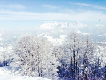 Scenic view of snow covered mountains