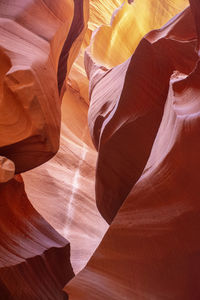 Low section of woman standing on mountain