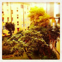 Building with trees in background