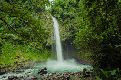 View of waterfall in forest
