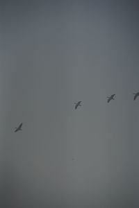 flying