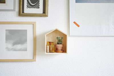 Potted plant on wall at home